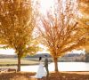 reception venue outdoor wedding venues in virginia farmhouse wedding venue outdoor wedding areas near lynchburg va best wedding venues in virginia